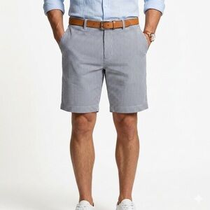 Lacoste Mens Pinstripe Cotton Chino Shorts Size 34